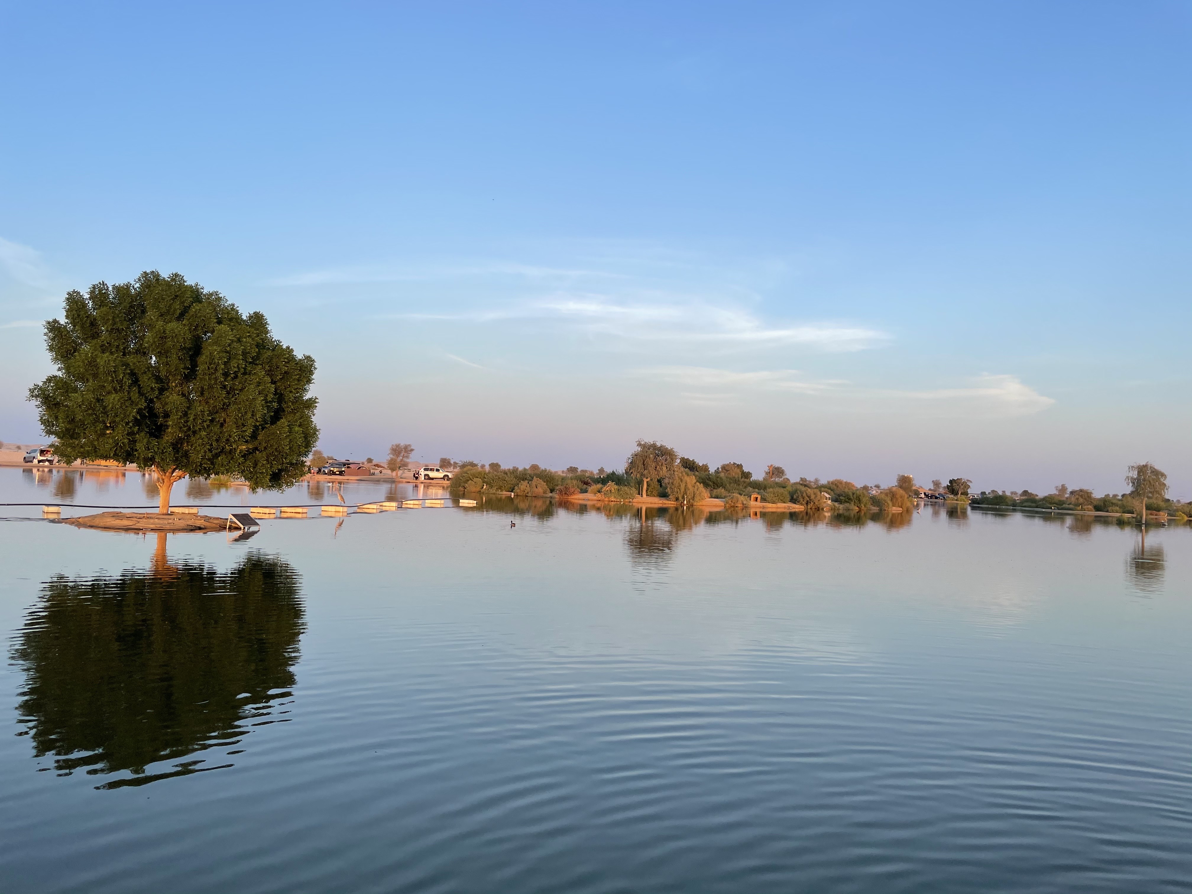 Соленое озеро Абу Даби. Al Wathba Lake. Заповедник al Wathba Wetland Reserve в Абу-Даби.