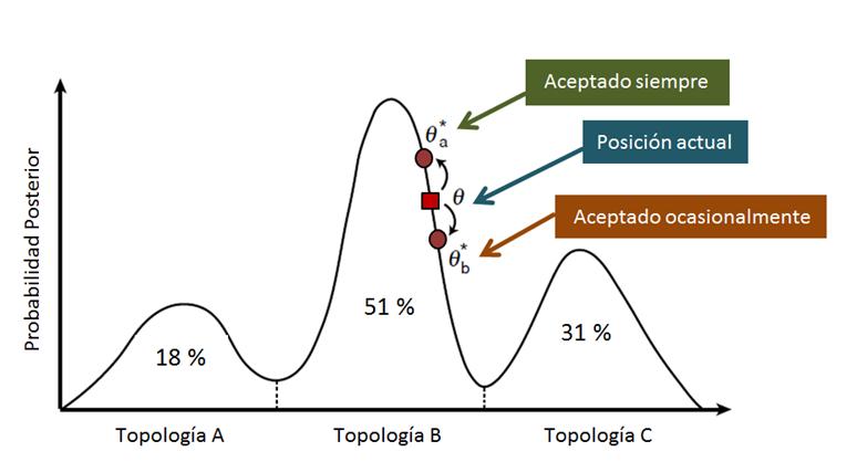 Archivo:Algoritmo Markov Chain Monte  - Wikipedia, la enciclopedia  libre