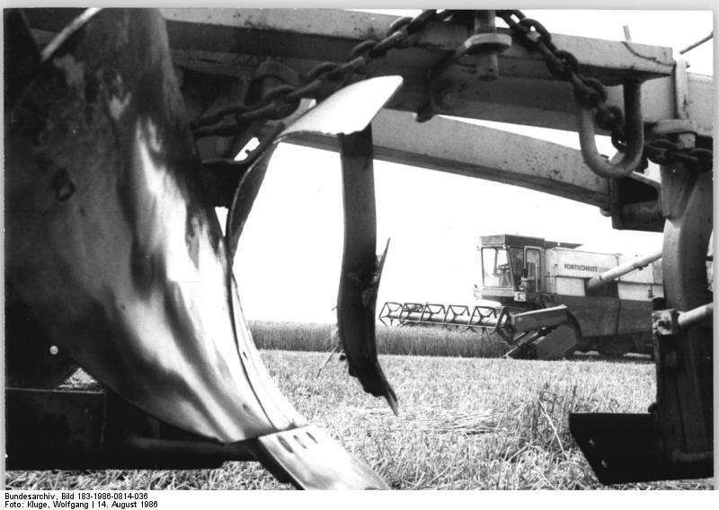 File:Bundesarchiv Bild 183-1986-0814-036, LPG Querfurt, Getreideernte.jpg