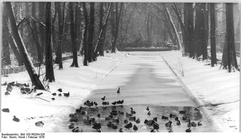 File:Bundesarchiv Bild 183-R0204-326, Berlin, Tierpark, Wassergraben, Winter.jpg