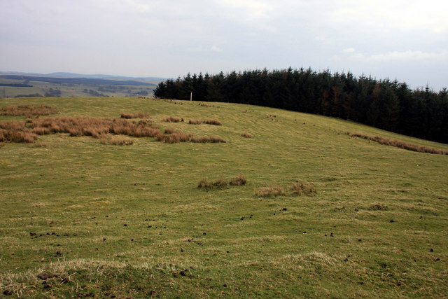 File:Cacrabank Hill - geograph.org.uk - 1232171.jpg