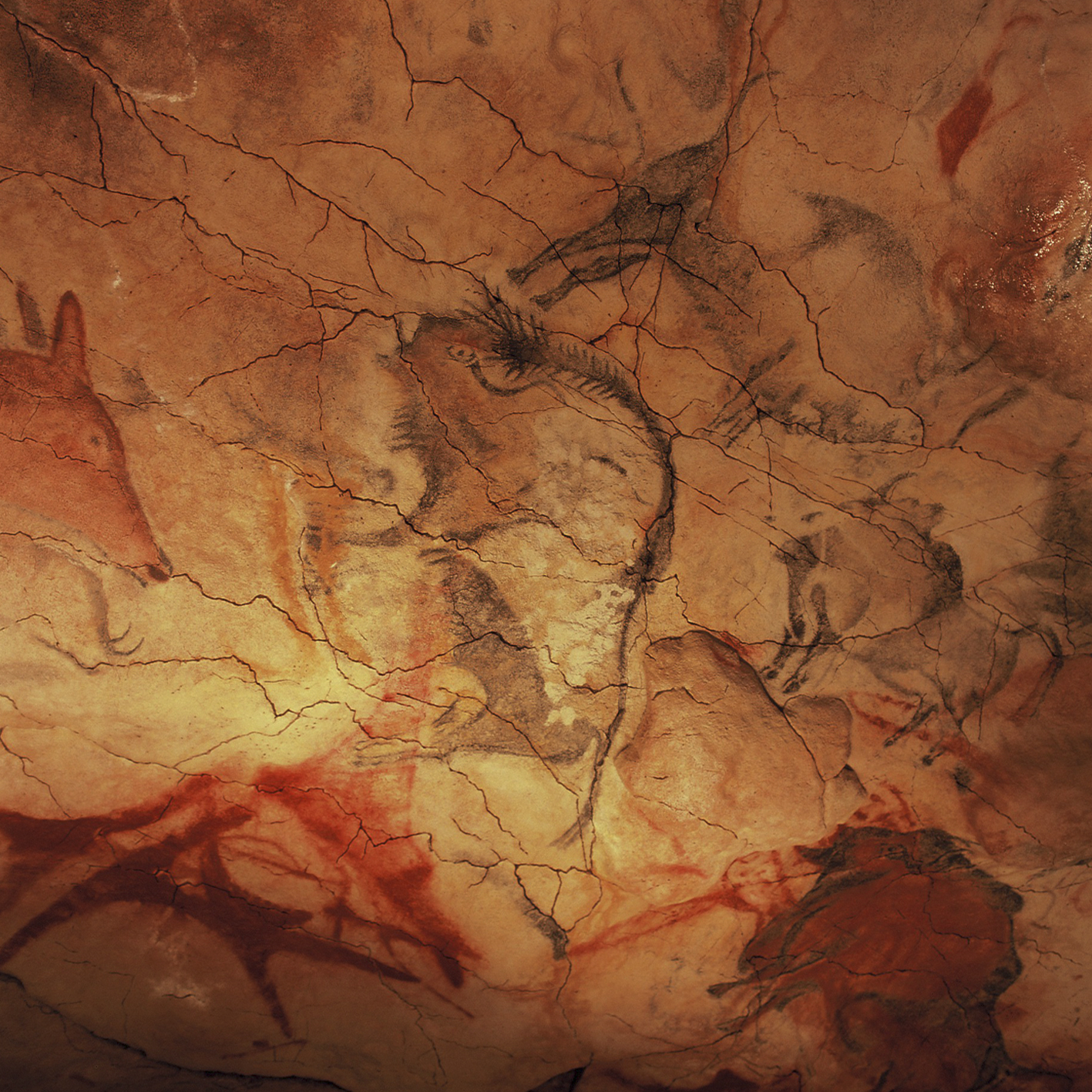 https://upload.wikimedia.org/wikipedia/commons/3/30/Cave_of_Altamira_and_Paleolithic_Cave_Art_of_Northern_Spain-110113.jpg