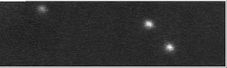 Een vertraagde opname van de pulsar in de Krabnevel bij een golflengte van 800 nm. De hoofdpuls en een tussenpuls zijn zichtbaar.