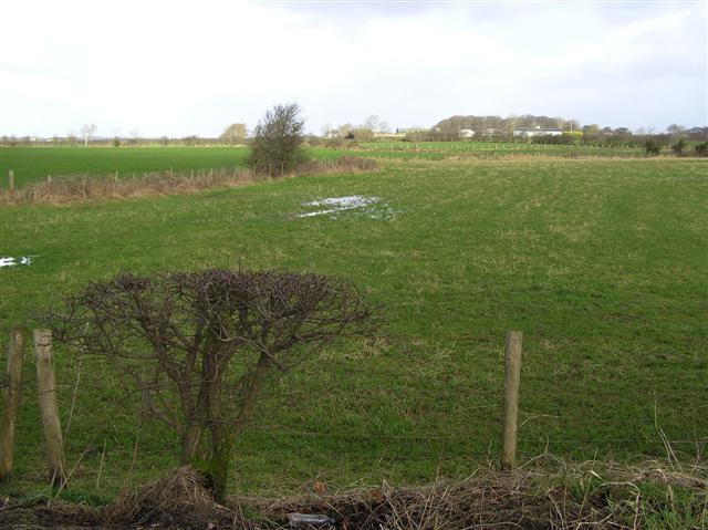 File:Deepstown Townland - geograph.org.uk - 675918.jpg