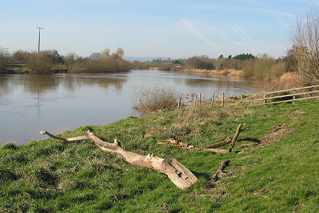 File:Driftwood washed up on the banks of the Severn - geograph.org.uk - 683028.jpg