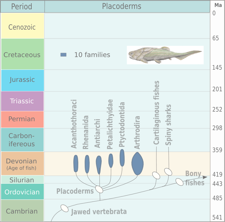 Tracing the evolutionary origins of fish to shallow ocean waters