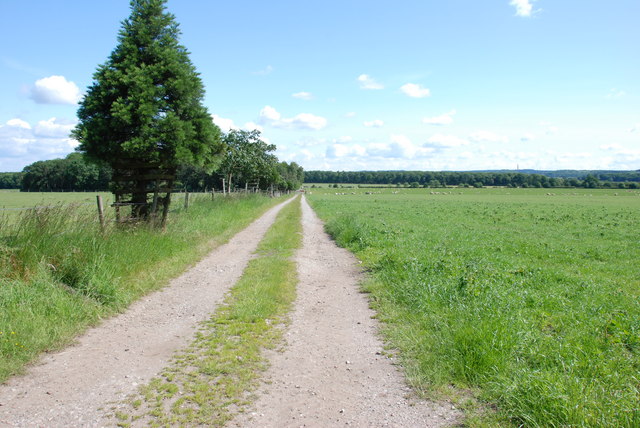 File:Farm Track to Fullmoor Wood from Gailey Lea road - geograph.org.uk - 2454128.jpg