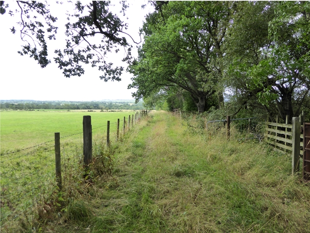 File:Farm track near Sillerea Wood - geograph.org.uk - 5862388.jpg