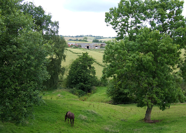 File:Grazing Land near Spoonhill, Shropshire - geograph.org.uk - 487959.jpg