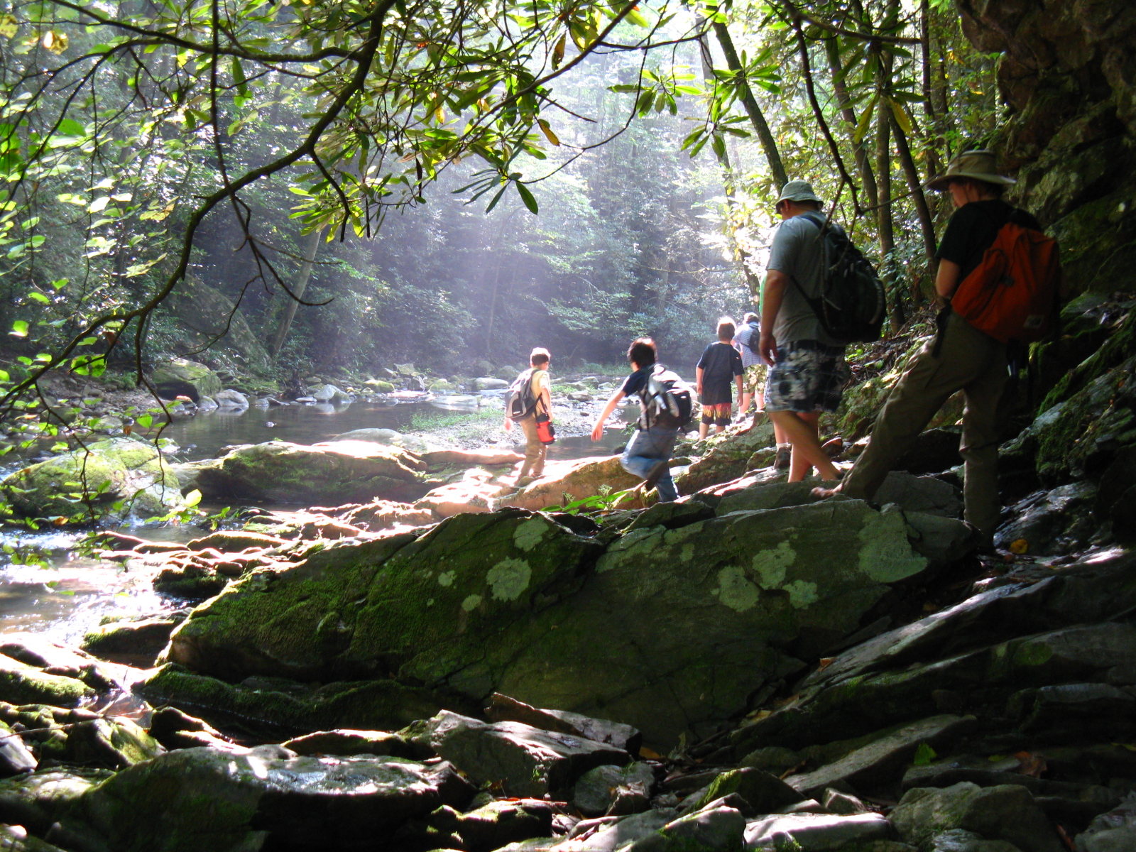 Pisgah National Forest