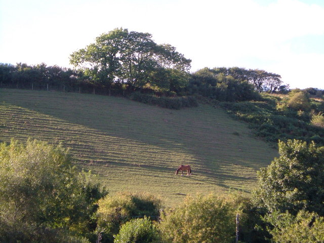 File:Horse grazing above Shindle Mill - geograph.org.uk - 228714.jpg