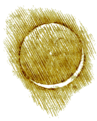 Leonardo-Earthshine.png