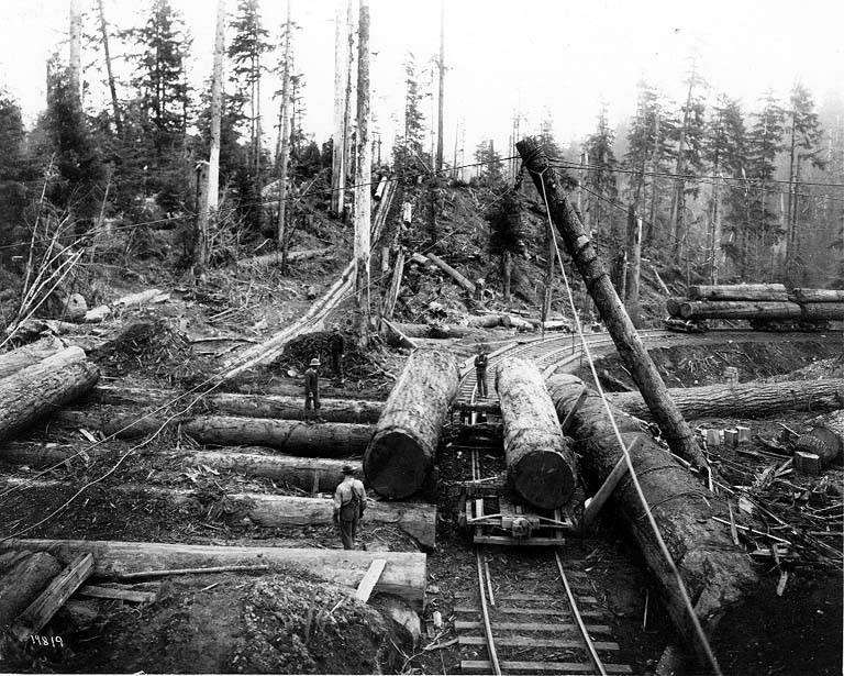 Piede di porco -barra mina -palanchino- leva in acciaio" Loading_logs_on_railroad_car_with_a_gin_pole%2C_A_F_Coats_Logging_Co_camp%2C_Grays_Harbor_region_%28CURTIS_1763%29