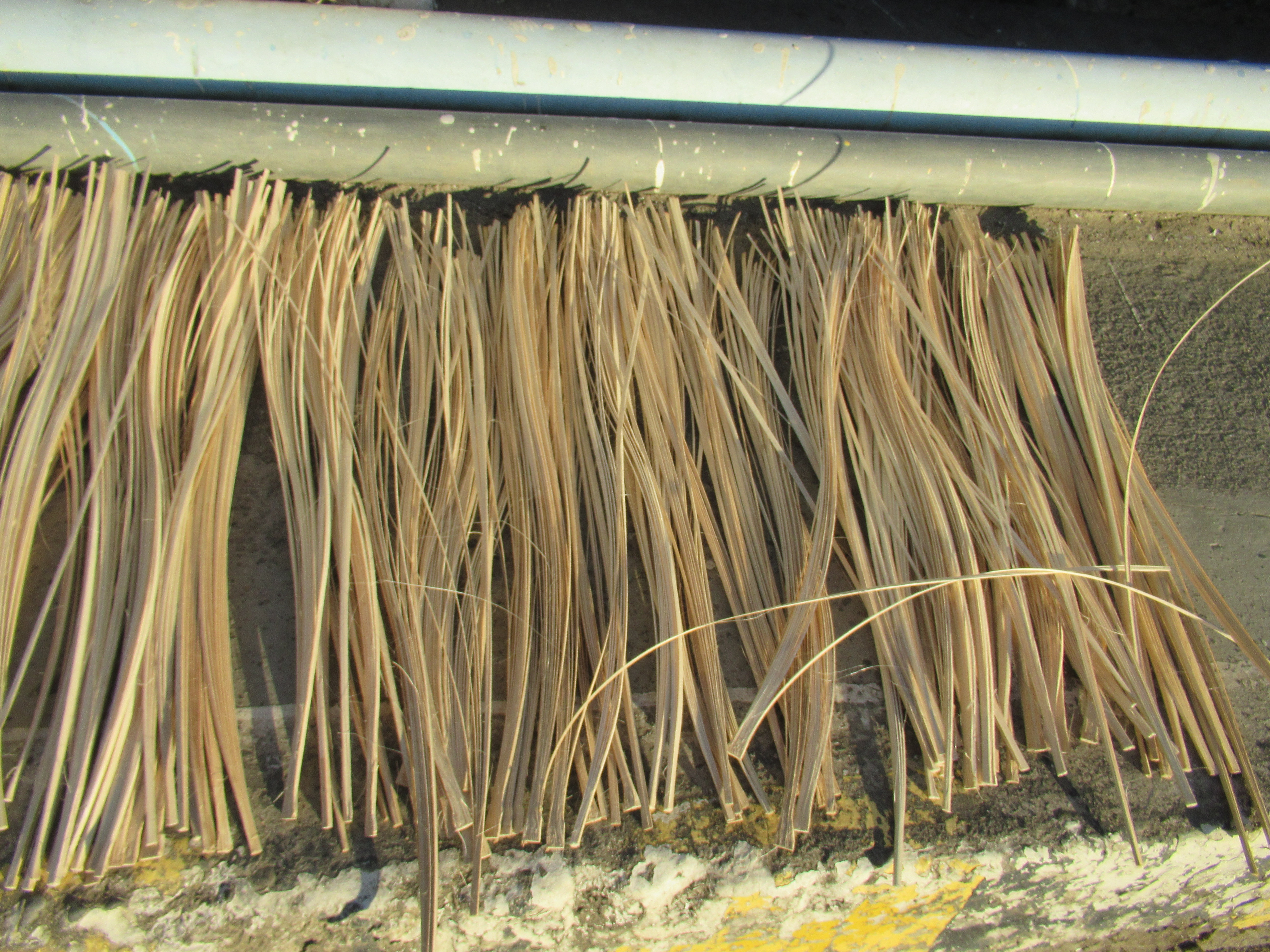 File:Manual drying of bamboo strings in Camachile Bridge 03.jpg