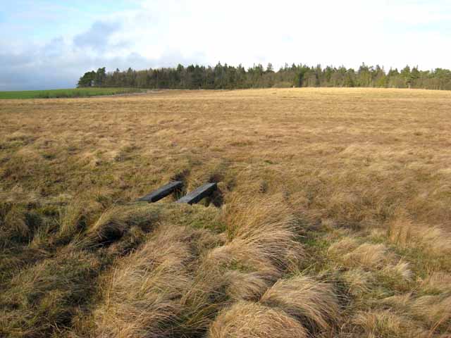 File:Moorland near Stowerhill - geograph.org.uk - 671233.jpg