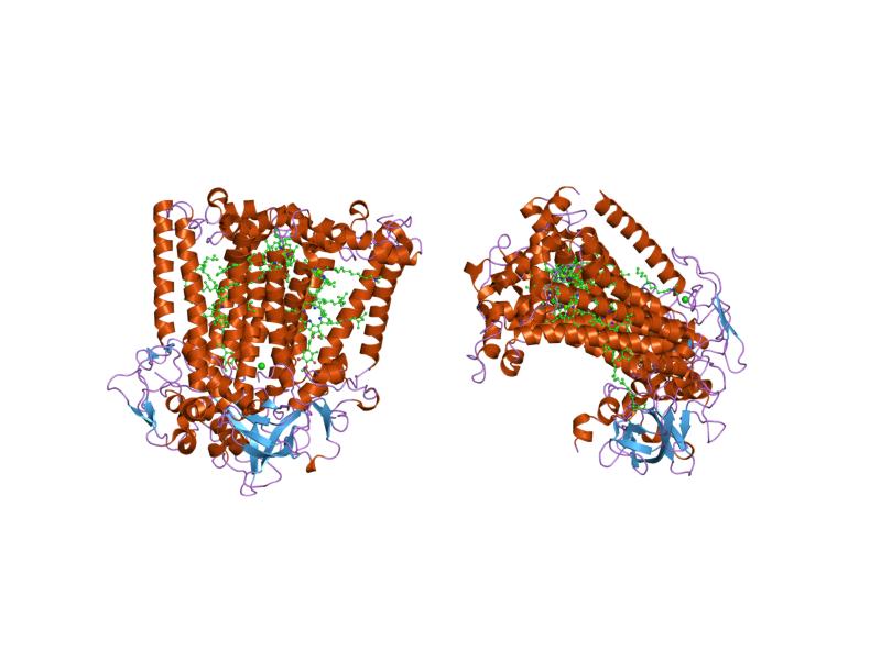 File:PDB 1dv6 EBI.jpg