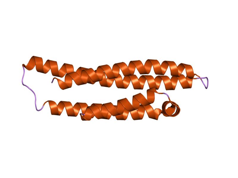 File:PDB 1ea8 EBI.jpg