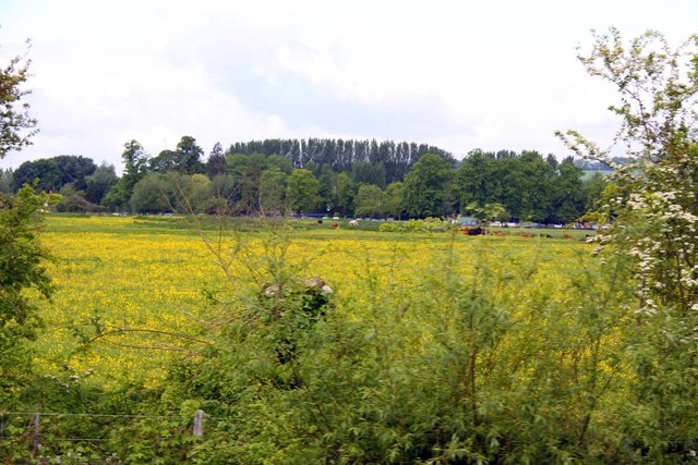 Port Meadow - geograph.org.uk - 1345729