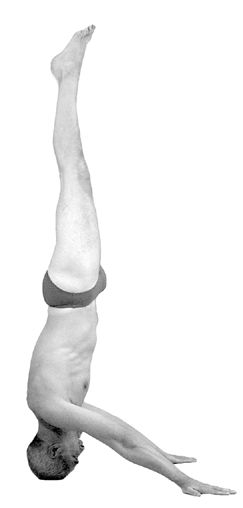 File:Raja shirshasana 3.jpg