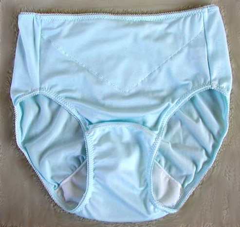 https://upload.wikimedia.org/wikipedia/commons/3/30/Sanitary_panty.jpg