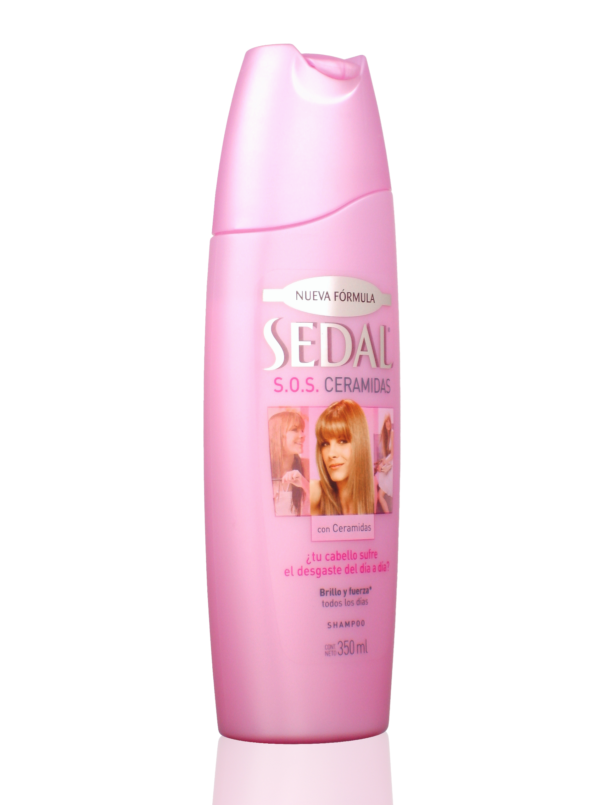 Shampoo Seda Todos Os Tipos