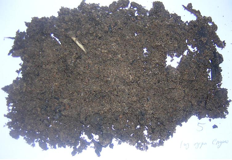 File:Sediment sand.JPG