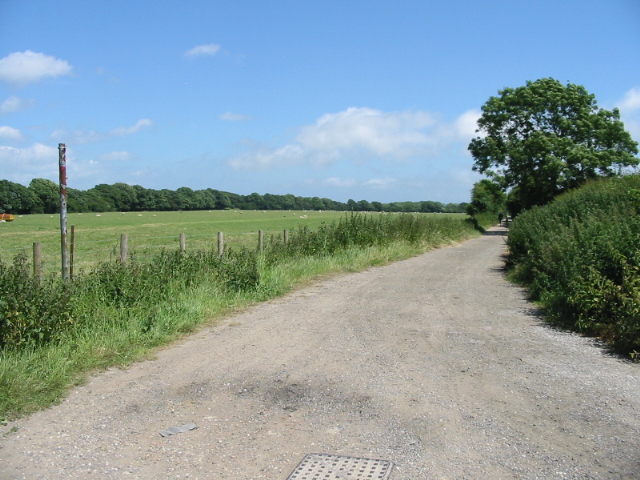 File:Unmetalled road towards The Minnis - geograph.org.uk - 871204.jpg