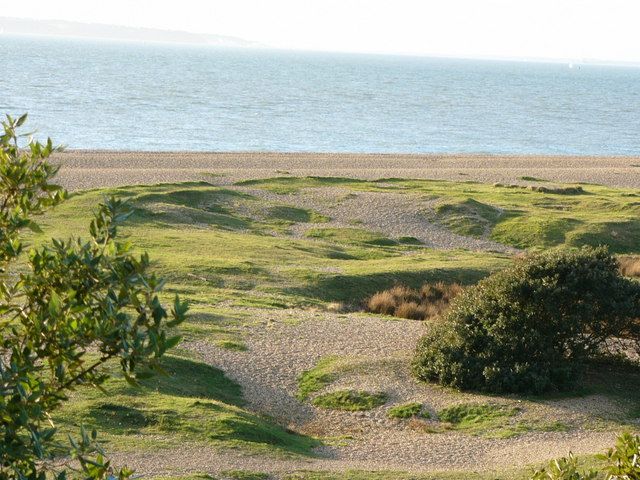 View of the beach from Fort Gilkicker - geograph.org.uk - 431345