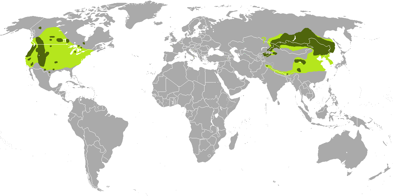 Mapa występowania