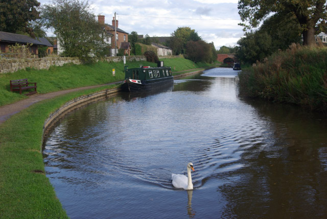 File:Whitchurch Arm - geograph.org.uk - 1003594.jpg