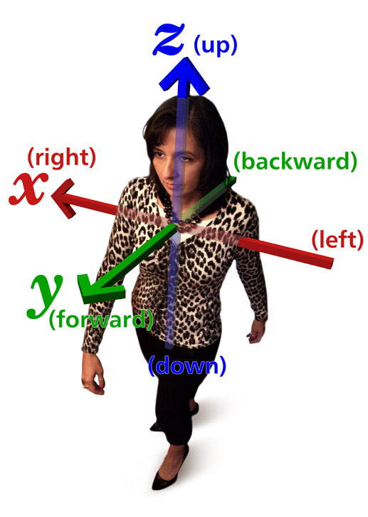 Body relative direction - Wikipedia