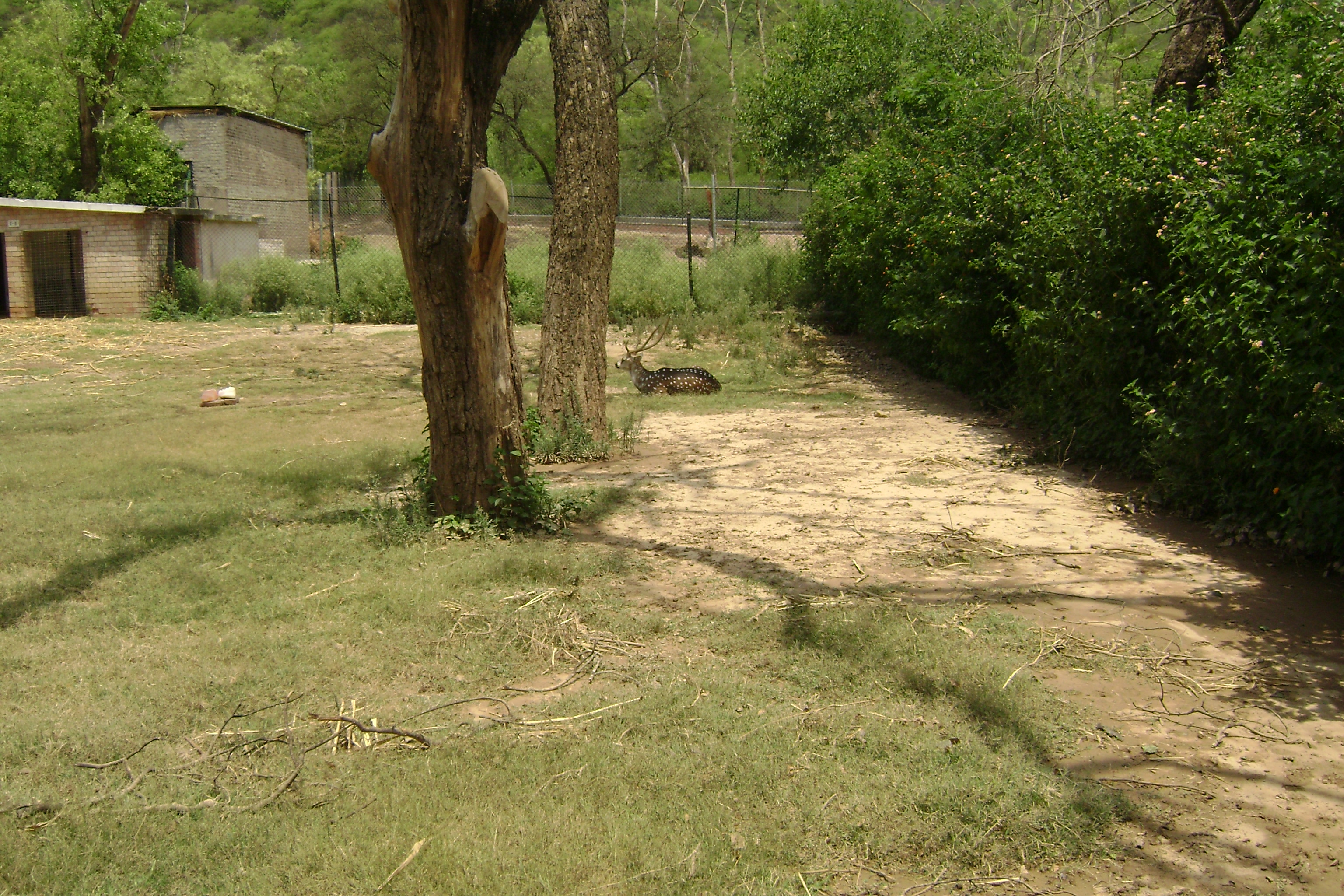 Islamabad Zoo (Urdu: اسلام آباد چڑیا گھر), previously Marghazar Zoo, was an 82-acre (33 ha) zoo in Islamabad Capital Territory. It was opened in 1978, and was under the administration of Capital Development Authority of Pakistan before its closure in December 2020 due to its mistreatment of animals.In May 2020, the Islamabad High Court ruled to transfer management of the park and its non-human species to the Islamabad Wildlife Management Board and transfer all animals to shelters, and the board took administrative control in June 2021. A renovation of the zoo as a conservation centre is being planned.