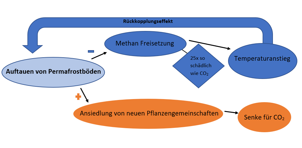 Permafrostböden als Beispiel