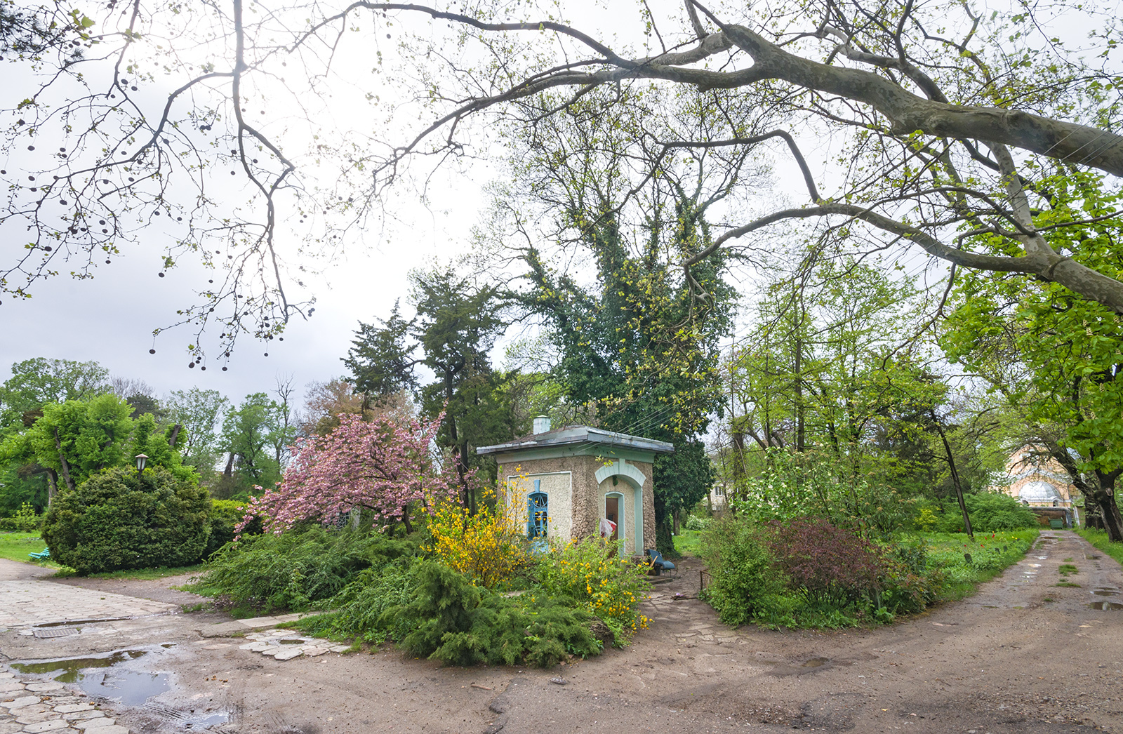 Ботанический сад иркутск фото. Ботанический сад Одесса. Ботанический сад Вилар. Ботанический сад Красноярск. Ботанический сад Псков.