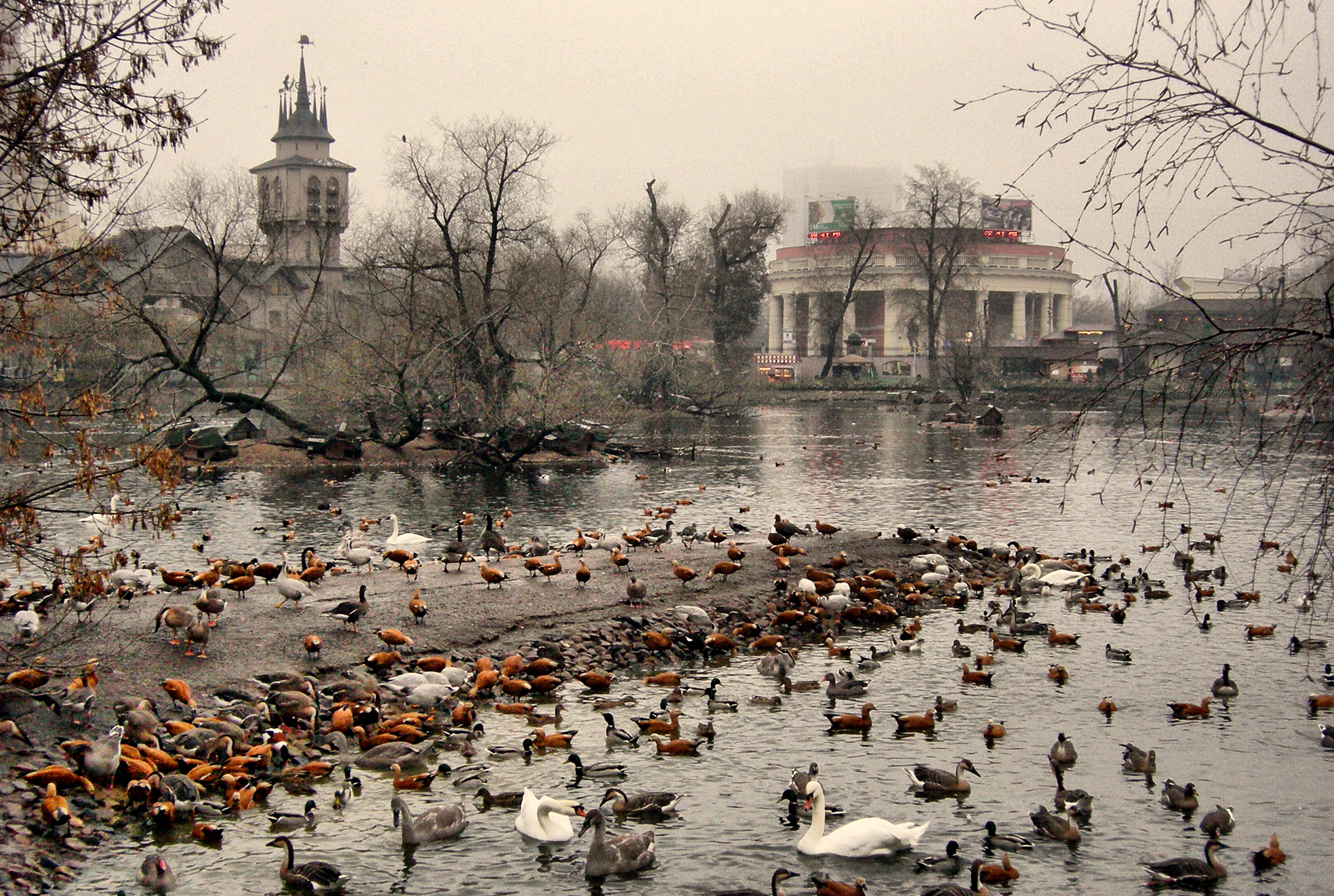 Московский зоопарк весной
