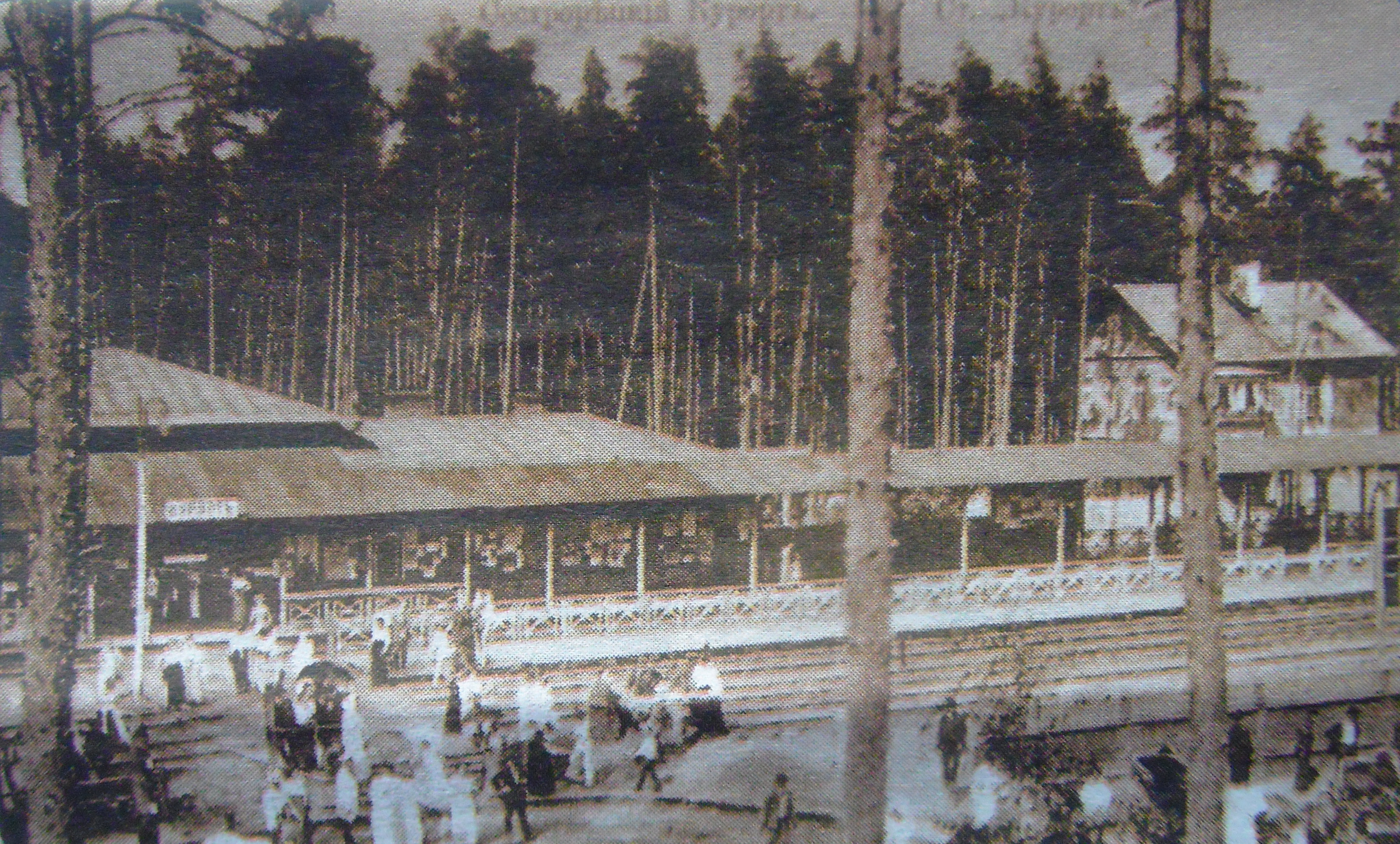 Сестрорецкий курорт старые фотографии