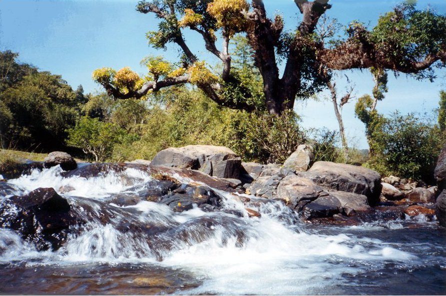 Papanasini River - Wikipedia