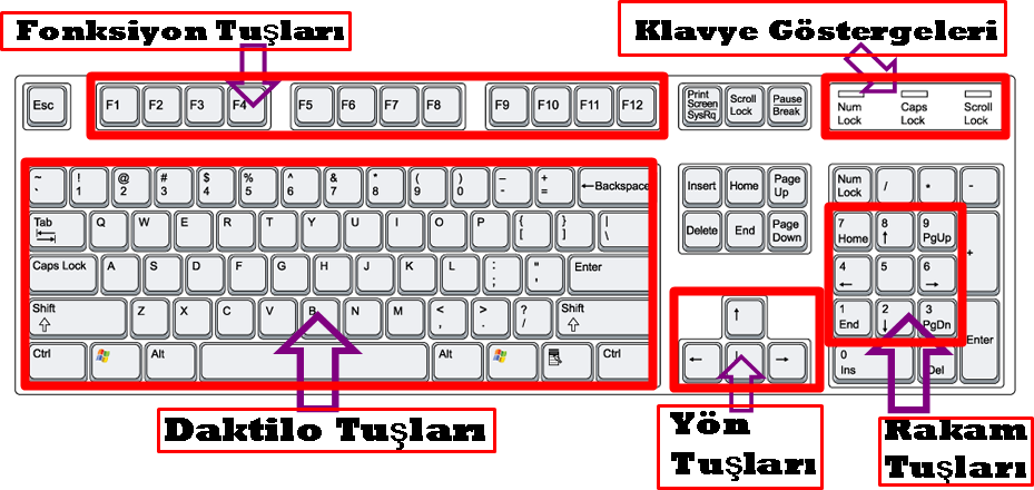 Page num. PGUP что за клавиша. C# Klavye tus. Q Tuşu. Tuşla King.