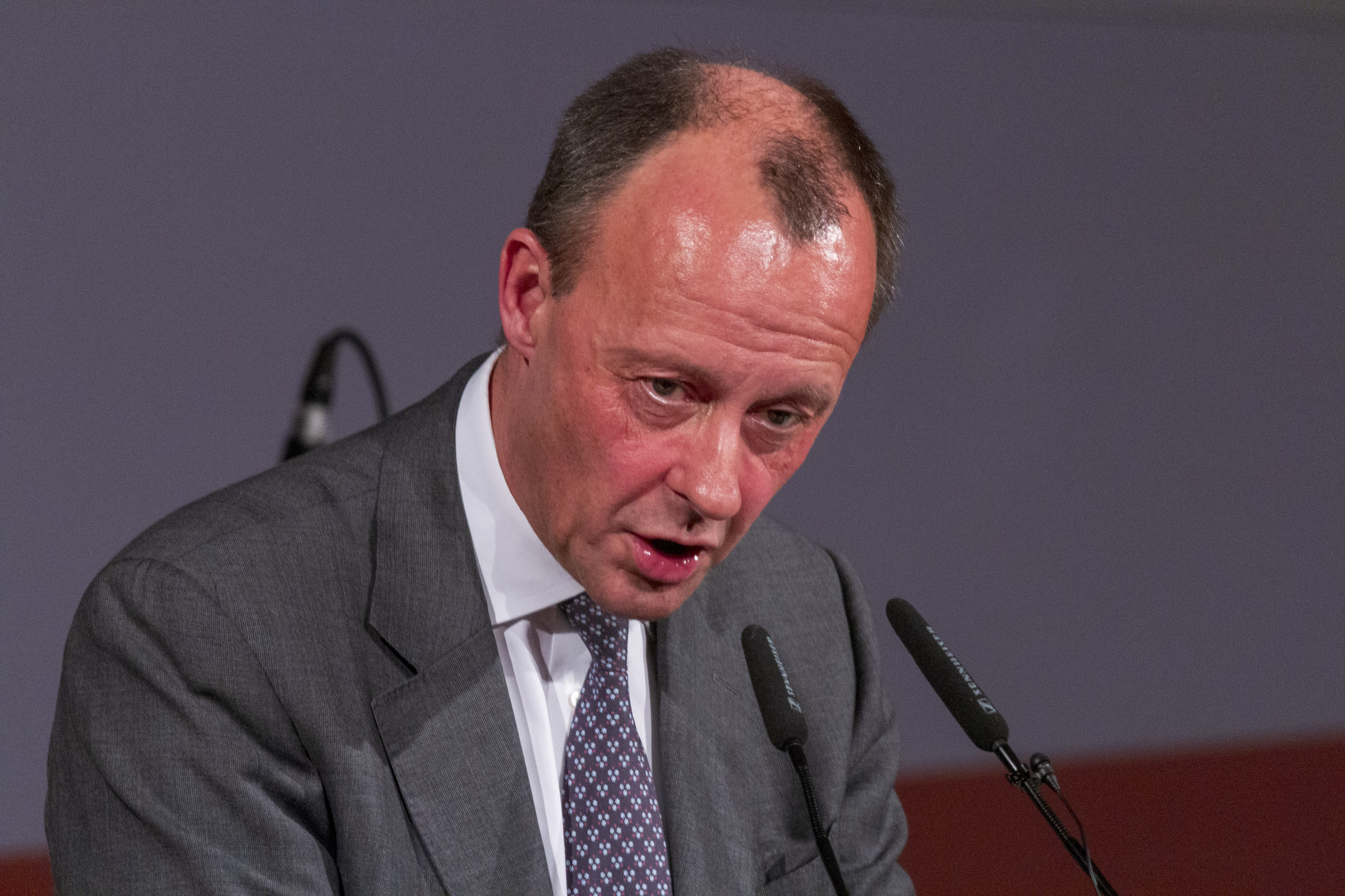 Friedrich Merz Speech