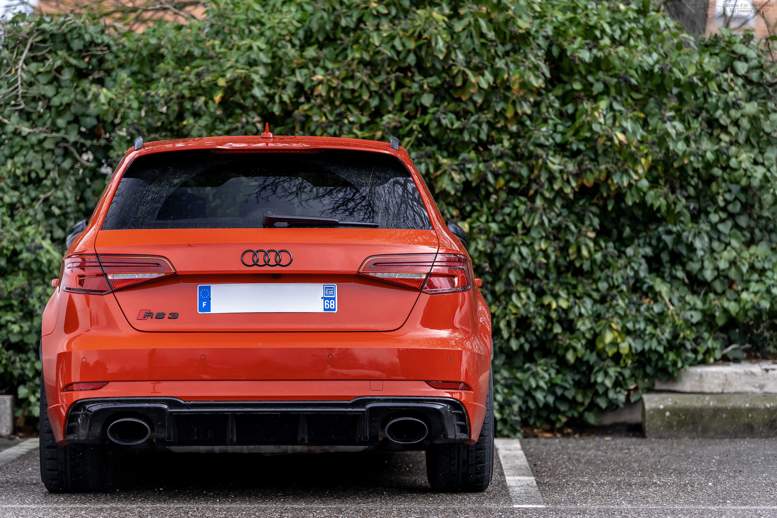 Audi rs3 Sportback оранжевый