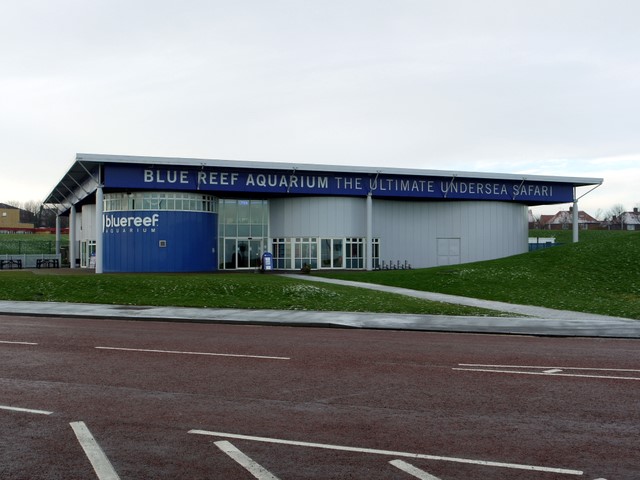 File:Blue Reef Aquarium, Tynemouth - geograph.org.uk - 1633538.jpg