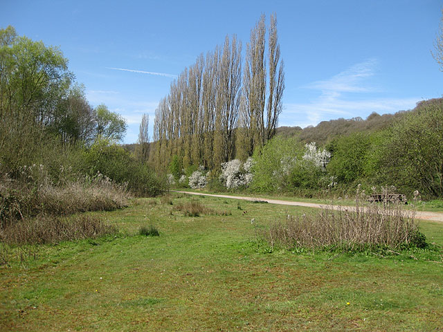 File:Bodenham Lake Nature Reserve - geograph.org.uk - 1248940.jpg