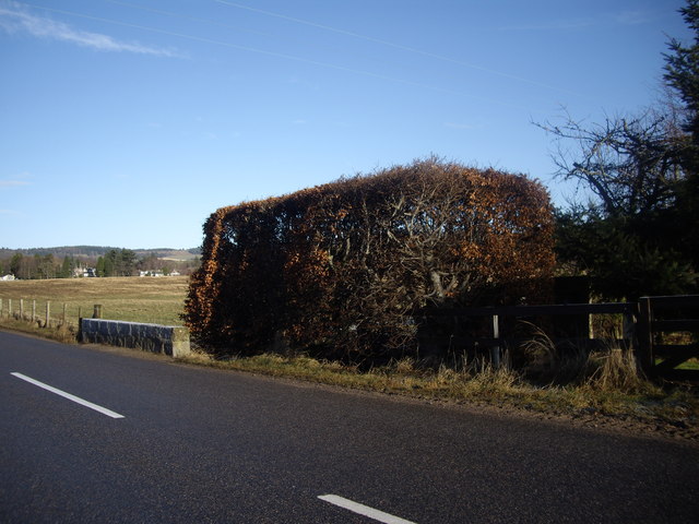 File:Bridge on B993 - geograph.org.uk - 1132634.jpg