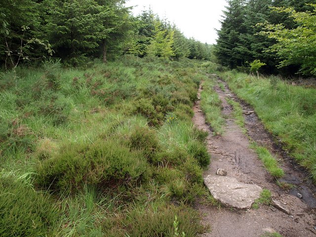 File:Bridleway near Laughter Hole House - geograph.org.uk - 1409904.jpg