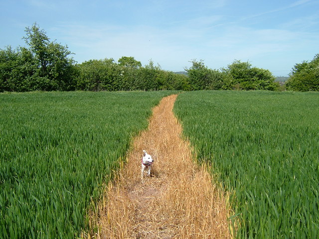 File:Burnt on - geograph.org.uk - 419502.jpg