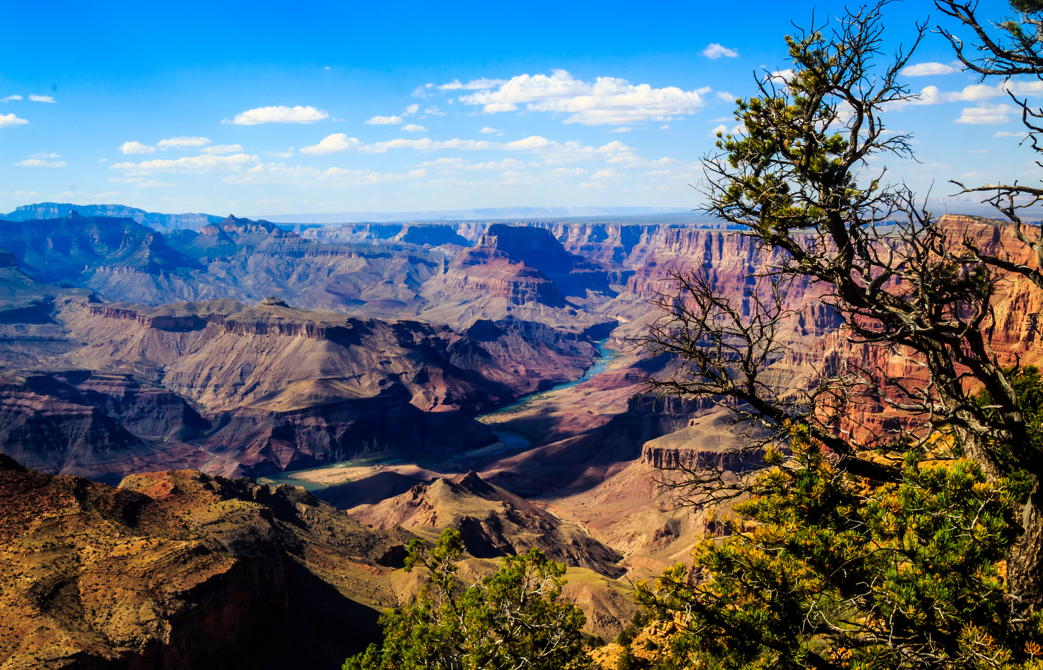 Grand Canyon Wikipedia