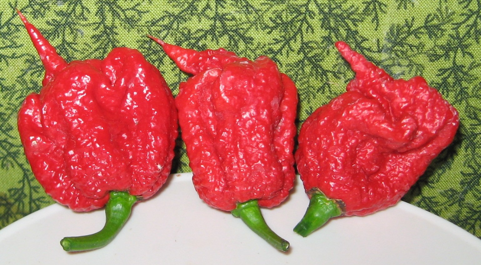 Top 13 Spiciest Peppers in the World, Ranked from Hot to Hottest