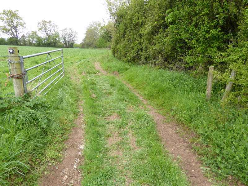 File:Channel to Channel (302) - geograph.org.uk - 4465863.jpg