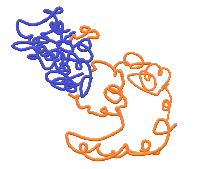 File:Diagrama de cintas de la particula del receptor de reconocimiento de señal.png