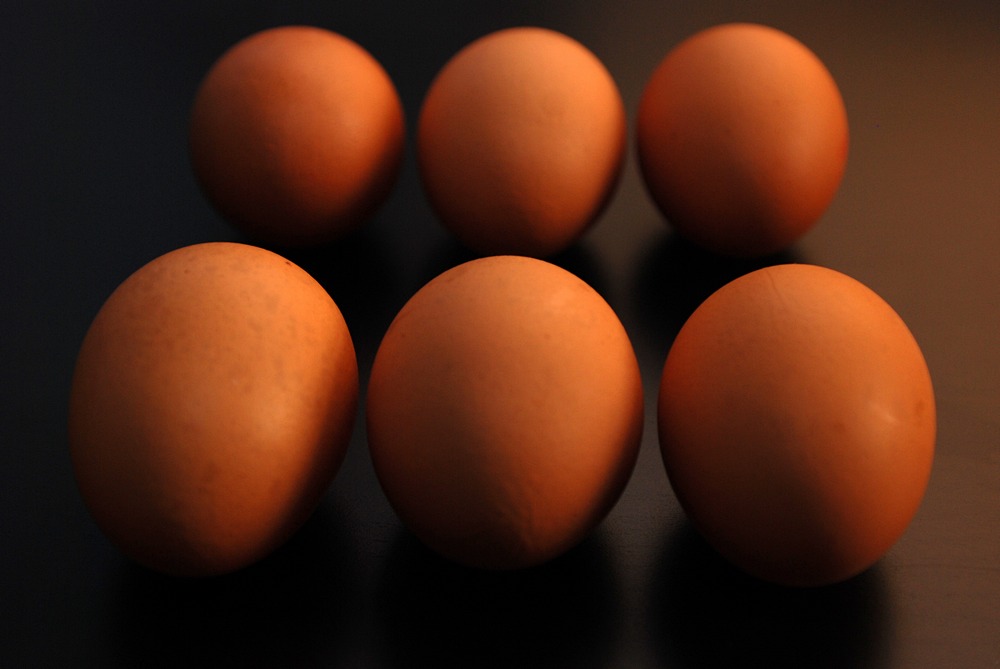 Eggs 3145g.jpg